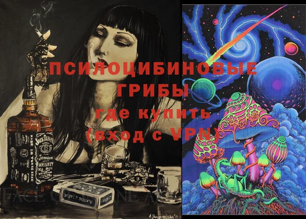 винт Козловка